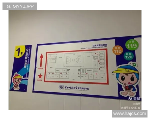 城市体育文化内容创新探索与发展路径研究与实践分享